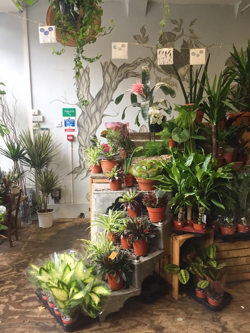 Green Room flower shop
